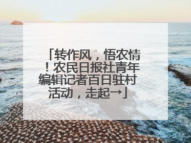 转作风，悟农情！农民日报社青年编辑记者百日驻村活动，走起→
