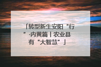 转型新生安阳“行”·内黄篇丨农业县有“大智慧”