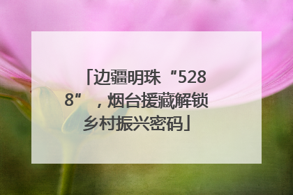 边疆明珠“5288”，烟台援藏解锁乡村振兴密码