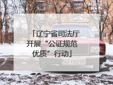 辽宁省司法厅开展“公证规范优质”行动