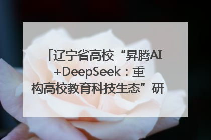 辽宁省高校“昇腾AI+DeepSeek：重构高校教育科技生态”研讨会在沈阳成功举办
