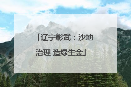 辽宁彰武：沙地治理 造绿生金