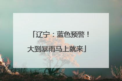 辽宁：蓝色预警！大到暴雨马上就来