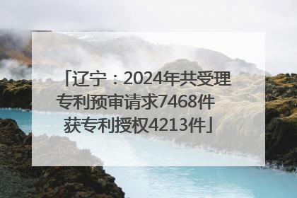 辽宁：2024年共受理专利预审请求7468件 获专利授权4213件