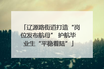 辽源路街道打造“岗位发布航母” 护航毕业生“平稳着陆”