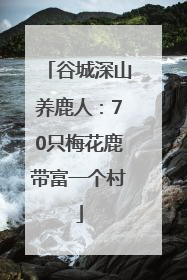 谷城深山养鹿人：70只梅花鹿带富一个村