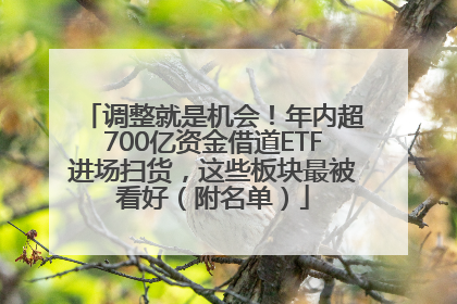 调整就是机会！年内超700亿资金借道ETF进场扫货，这些板块最被看好（附名单）