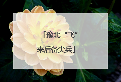 豫北“飞”来后备尖兵