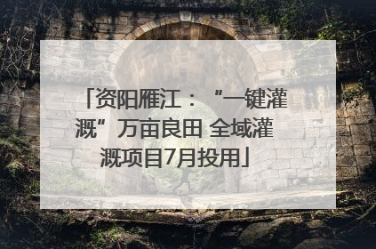 资阳雁江：“一键灌溉”万亩良田 全域灌溉项目7月投用