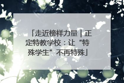 走近榜样力量｜正定特教学校：让“特殊学生”不再特殊