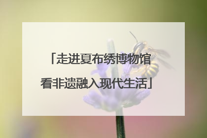 走进夏布绣博物馆 看非遗融入现代生活