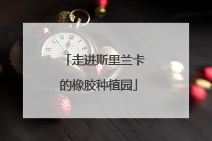 走进斯里兰卡的橡胶种植园