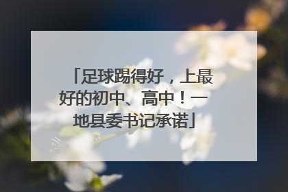 足球踢得好，上最好的初中、高中！一地县委书记承诺