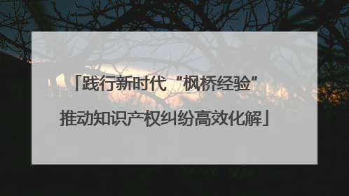 践行新时代“枫桥经验” 推动知识产权纠纷高效化解