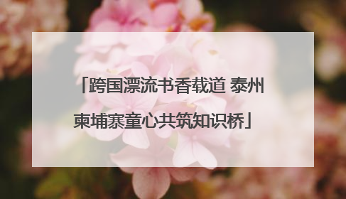 跨国漂流书香载道 泰州柬埔寨童心共筑知识桥