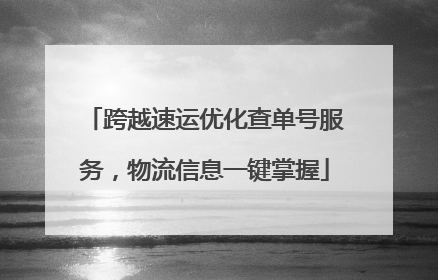 跨越速运优化查单号服务，物流信息一键掌握