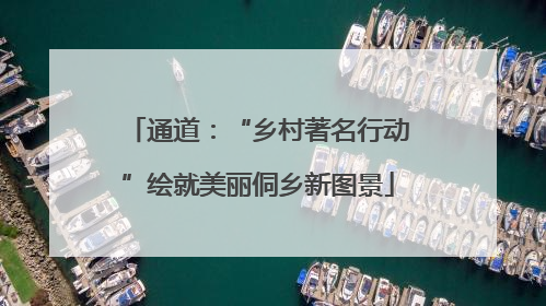 通道：“乡村著名行动”绘就美丽侗乡新图景