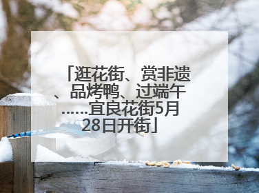 逛花街、赏非遗、品烤鸭、过端午……宜良花街5月28日开街