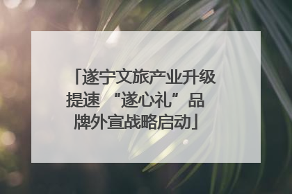 遂宁文旅产业升级提速 “遂心礼”品牌外宣战略启动