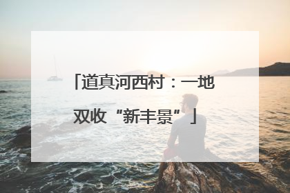 道真河西村：一地双收“新丰景”