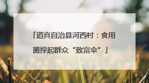 道真自治县河西村：食用菌撑起群众“致富伞”