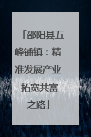 邵阳县五峰铺镇：精准发展产业 拓宽共富之路