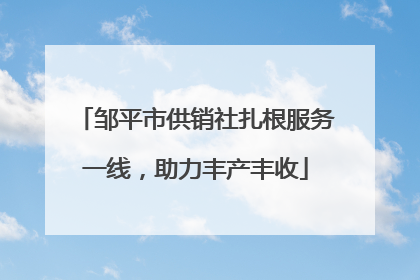 邹平市供销社扎根服务一线，助力丰产丰收