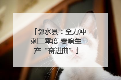 邻水县：全力冲刺二季度 奏响生产“奋进曲”