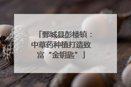 鄄城县彭楼镇：中草药种植打造致富“金钥匙”