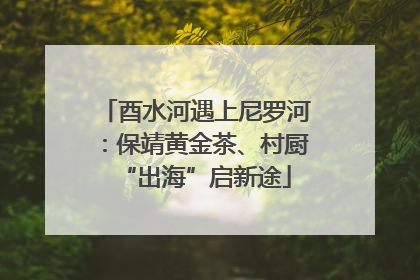酉水河遇上尼罗河：保靖黄金茶、村厨“出海”启新途