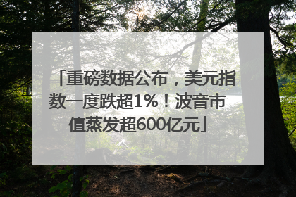 重磅数据公布，美元指数一度跌超1%！波音市值蒸发超600亿元
