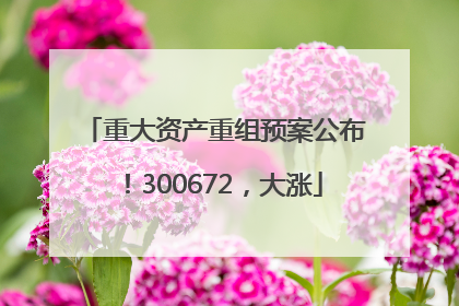 重大资产重组预案公布！300672，大涨