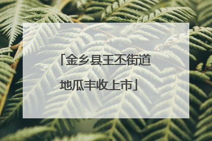 金乡县王丕街道地瓜丰收上市