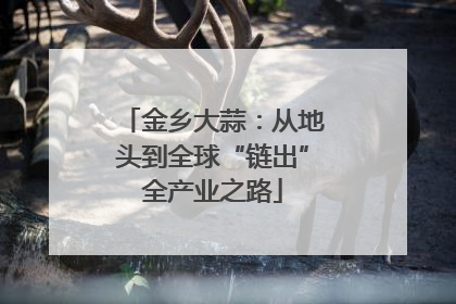 金乡大蒜：从地头到全球“链出”全产业之路