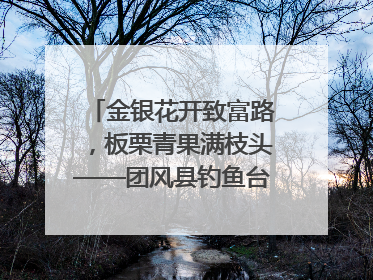 金银花开致富路，板栗青果满枝头——团风县钓鱼台村“山水生金”谱写共富新篇章