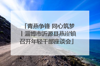 青燕争锋 同心筑梦丨淄博市沂源县燕崖镇召开年轻干部座谈会