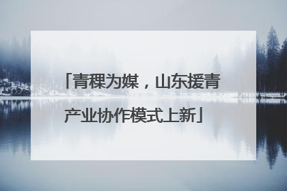青稞为媒，山东援青产业协作模式上新