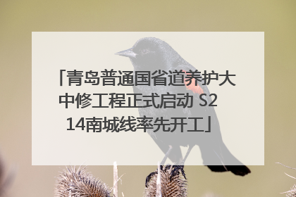 青岛普通国省道养护大中修工程正式启动 S214南城线率先开工