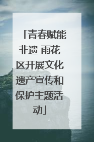青春赋能非遗 雨花区开展文化遗产宣传和保护主题活动