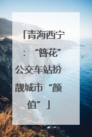 青海西宁：“簪花”公交车站扮靓城市“颜值”