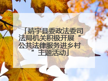 靖宇县委政法委司法局机关积极开展“公共法律服务进乡村”主题活动