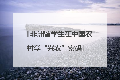 非洲留学生在中国农村学“兴农”密码