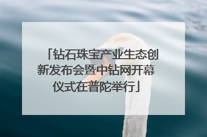 钻石珠宝产业生态创新发布会暨中钻网开幕仪式在普陀举行