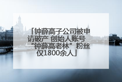 钟薛高子公司被申请破产 创始人账号“钟薛高老林”粉丝仅1800余人