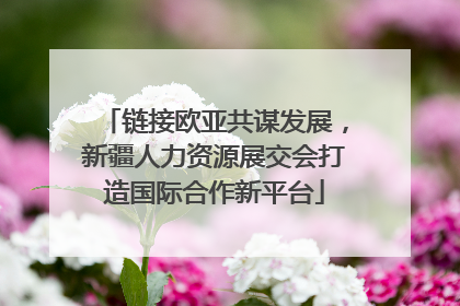 链接欧亚共谋发展，新疆人力资源展交会打造国际合作新平台