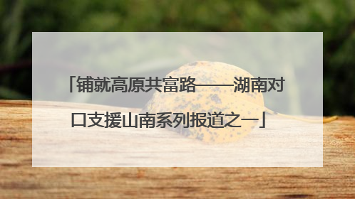 铺就高原共富路——湖南对口支援山南系列报道之一