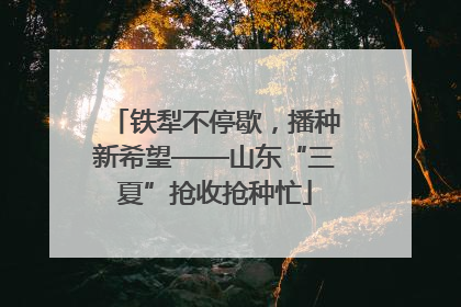 铁犁不停歇，播种新希望——山东“三夏”抢收抢种忙