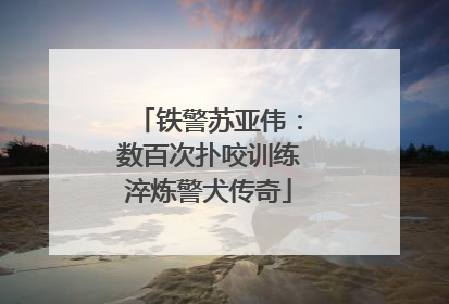 铁警苏亚伟：数百次扑咬训练淬炼警犬传奇