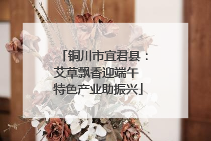 铜川市宜君县：艾草飘香迎端午 特色产业助振兴