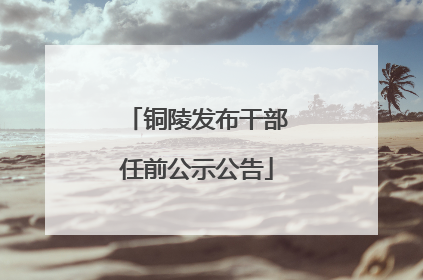 铜陵发布干部任前公示公告